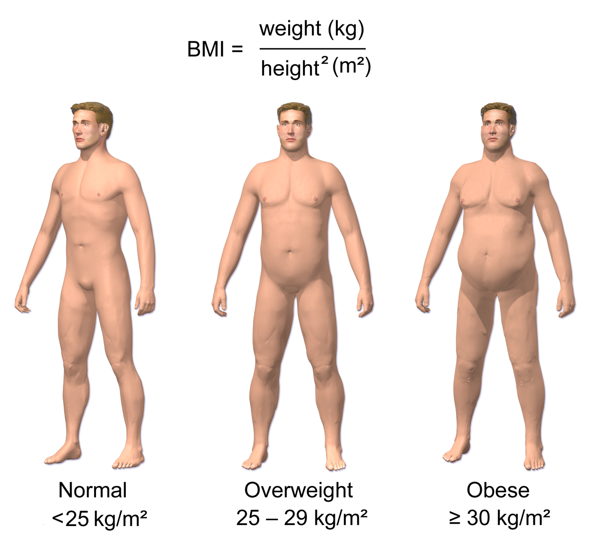 Obesity_%26_BMI.png