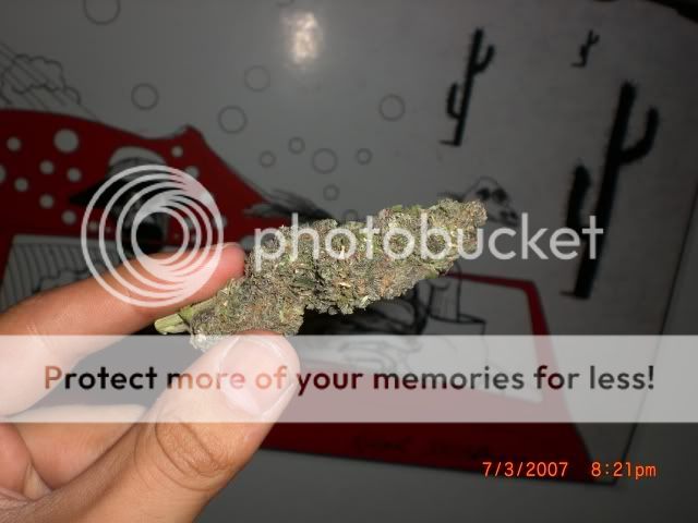CIMG0634.jpg