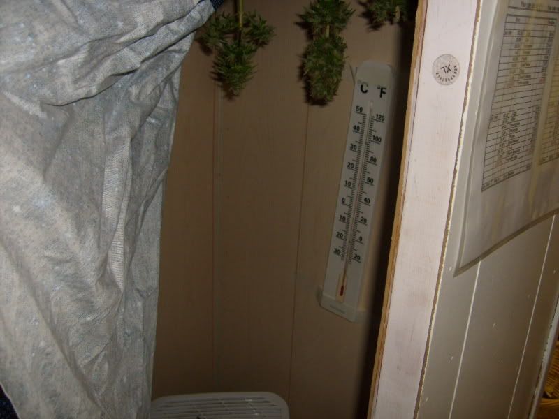 S6302366.jpg