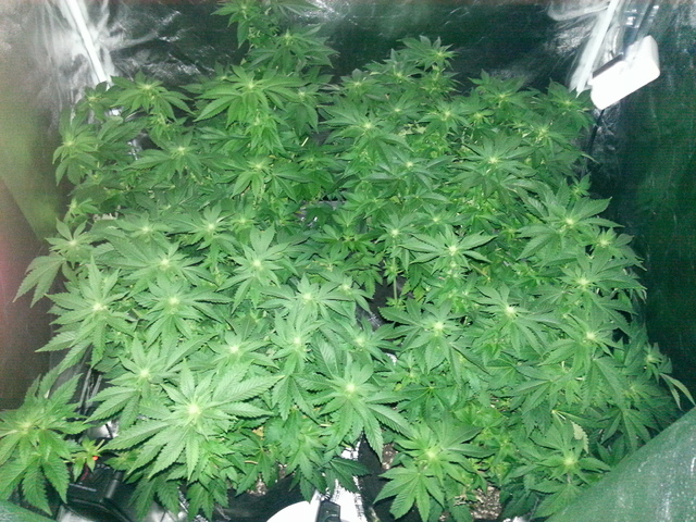 week2_day3_2.jpg