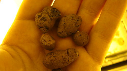 4050915426_7ac8597018.jpg