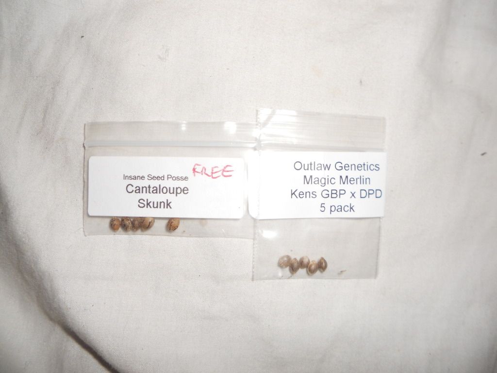 DSCN4658.jpg