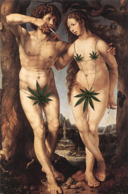 tumblr_lz86zaKxXd1r7sa82o1_500.jpg