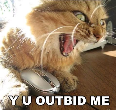 outbidod7.jpg