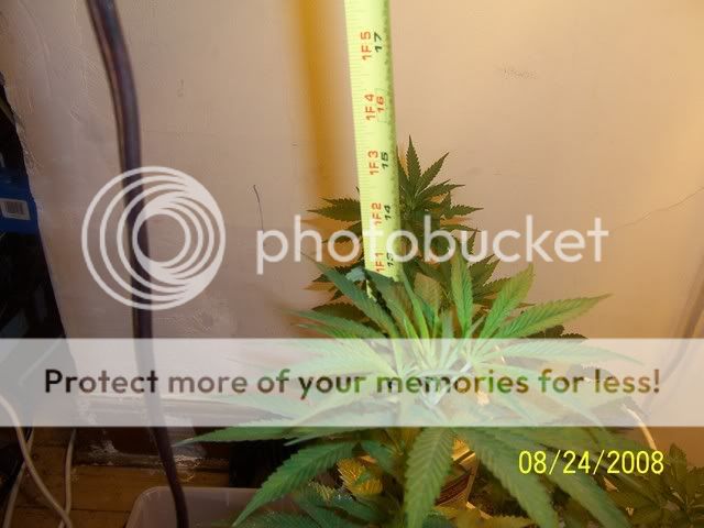 100_0391.jpg