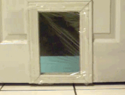 gifs_01.gif