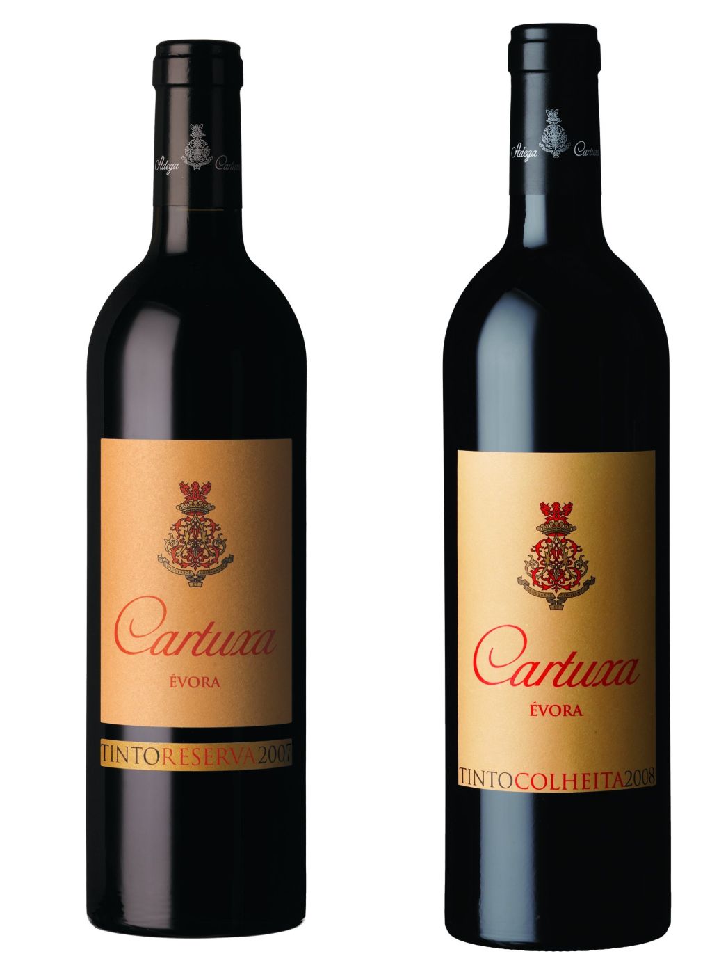 cartuxa.jpg