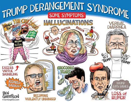 trump_derangement_syndrome.jpg