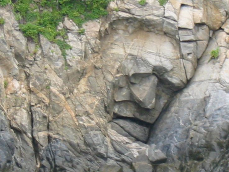 b8e714bebc9c7383cd4791136e783b73--witch-face-face-book.jpg