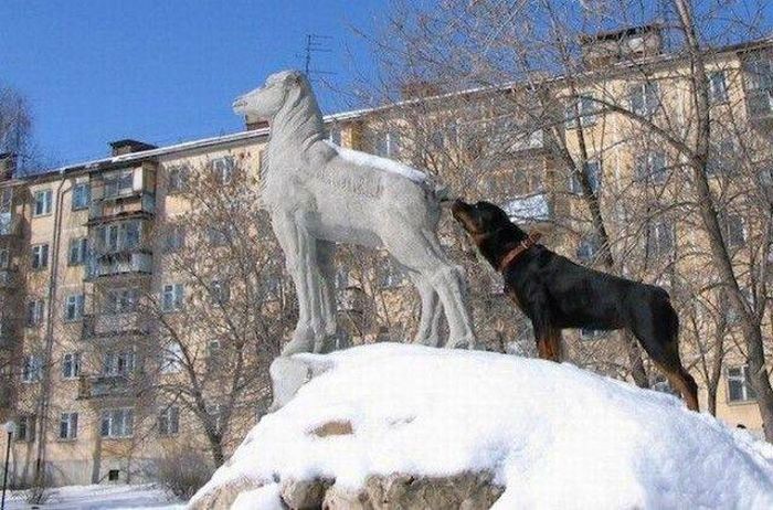 acid_picdump_09.jpg