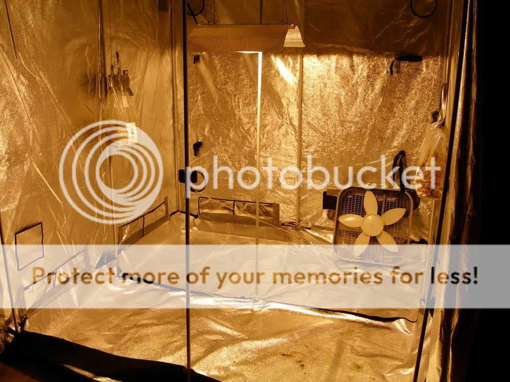 DSCN7729.jpg