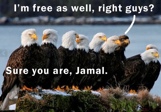 Freedom+source+imgur_14b8f9_5609705.jpg