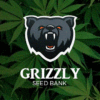 grizzly-cannabis-seeds.co.uk