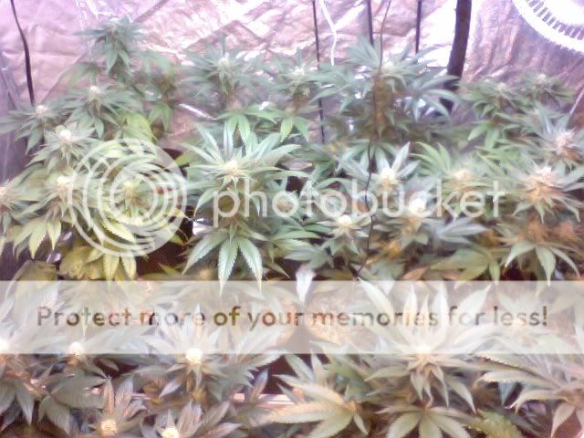 Photo22-1.jpg