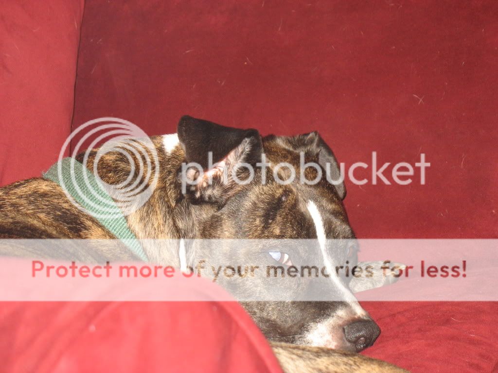 Picture013.jpg