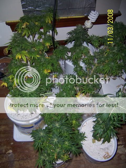000_3580.jpg