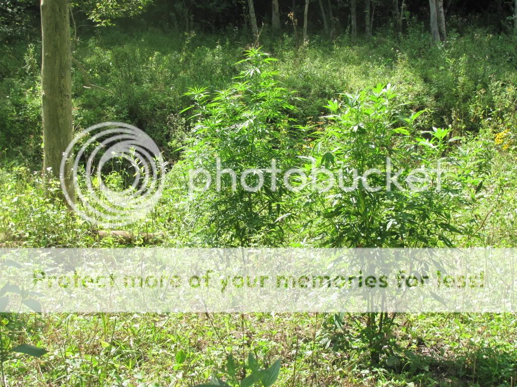 IMG_1720.jpg