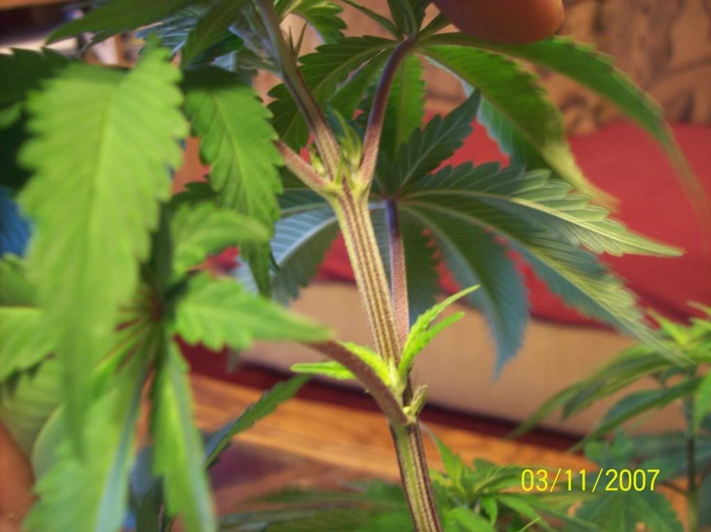 100_8378.jpg