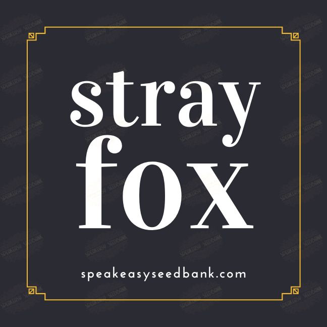 speakeasyseedbank.com