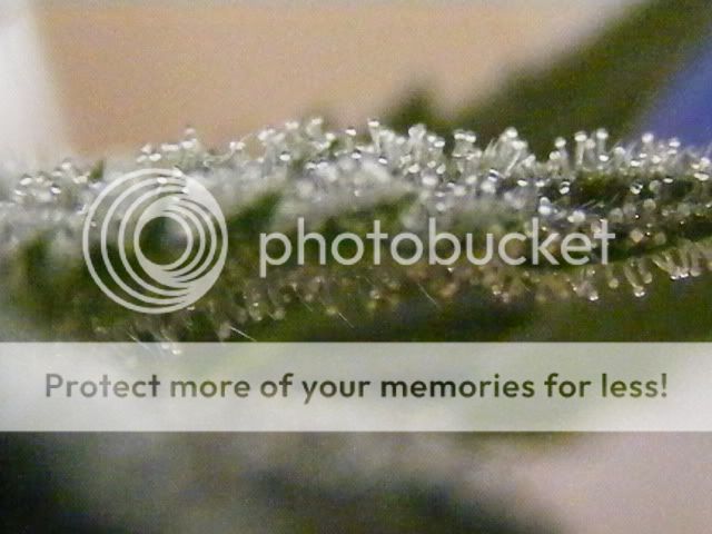 projects060-1.jpg