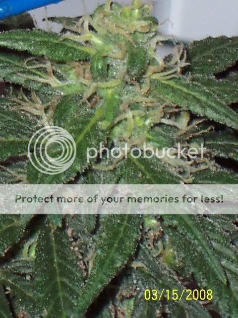 100_5702.jpg