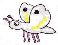 white-butterfly1.jpg