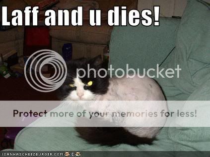 shavedcat.jpg