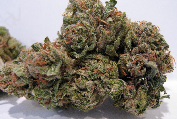 sour_og_july.jpg
