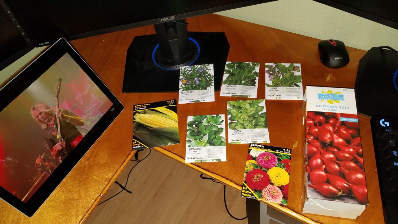 moreseeds.jpg