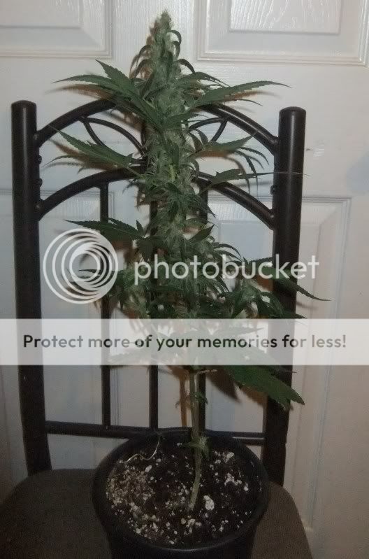 DSCF1089.jpg