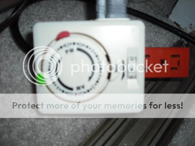 DSCF1211.jpg