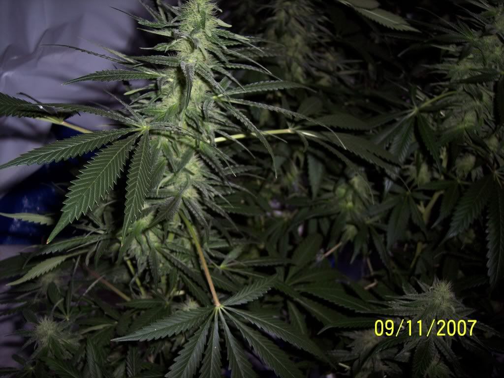 31days011.jpg