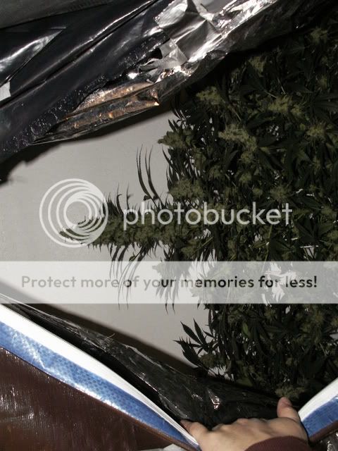 PICT0001.jpg