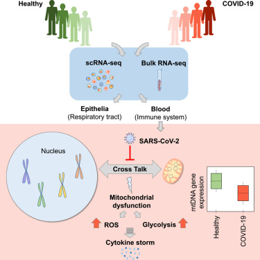 www.sciencedirect.com