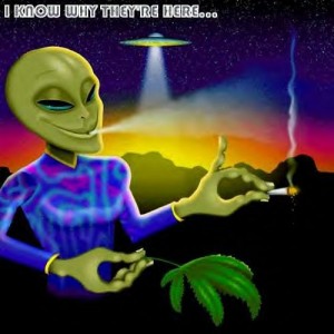 cannabis-crop-circles-300x300.jpg