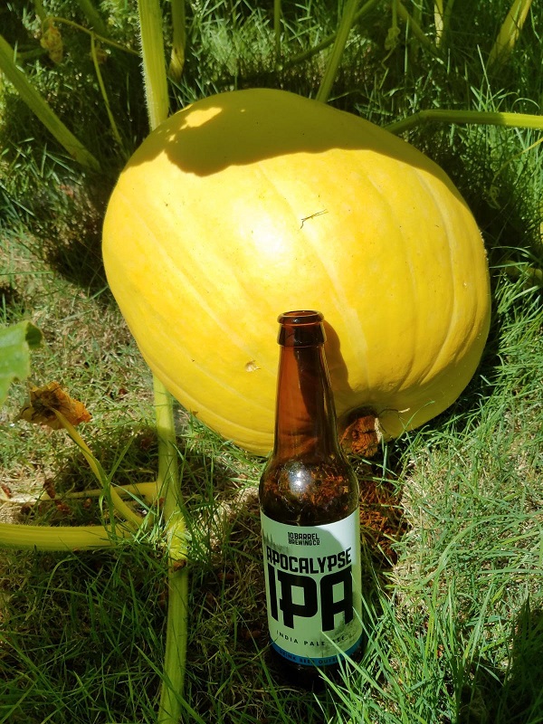 pumpkin1f.jpg