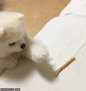 gifs_07.gif