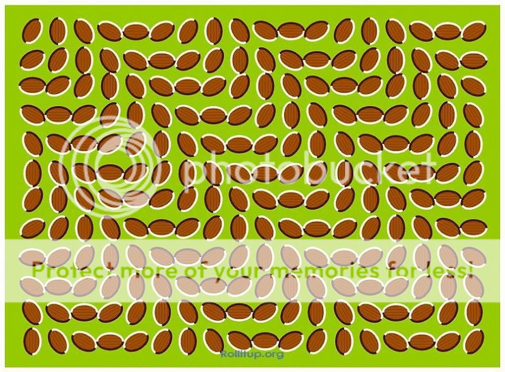 trippybig.jpg