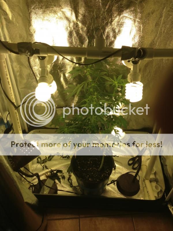 image_zpsfca33156.jpeg