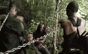 tumblr_mt253oT3Cm1sgfclao1_400.gif