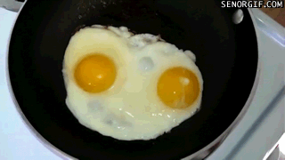 gifs_04.gif