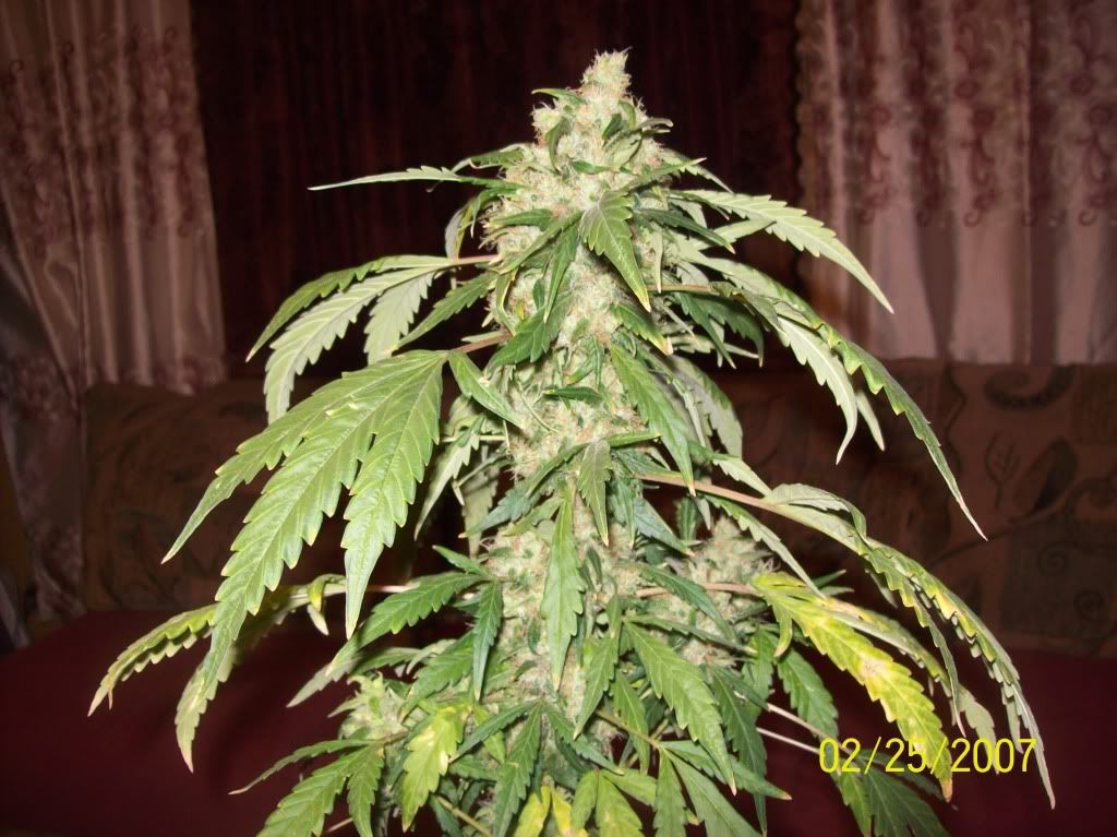 100_8328.jpg