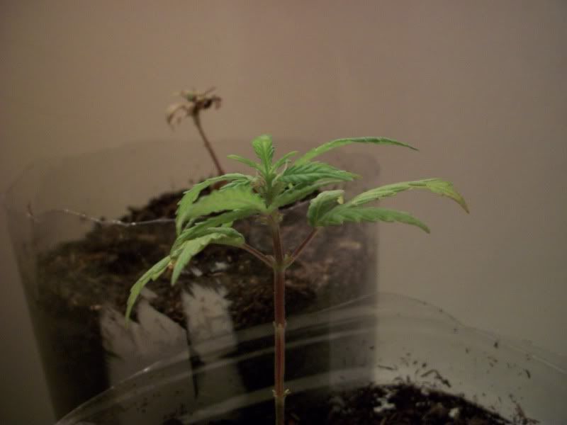 100_0507.jpg