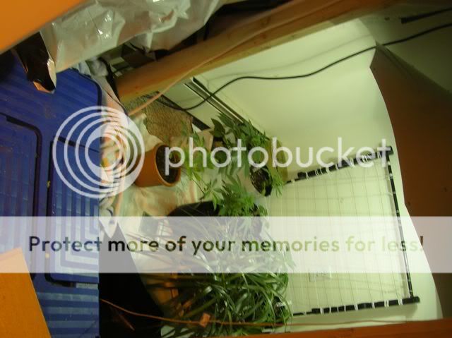 DSCN1139.jpg