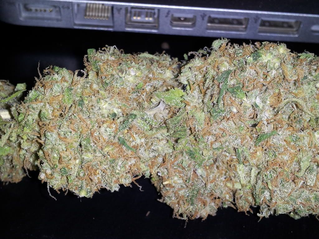 CameraZOOM-20120313234147930.jpg