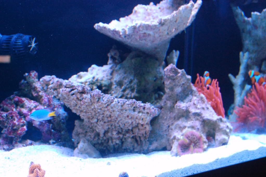 CSC_0216.jpg