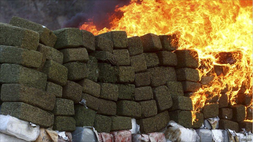 WEED25.jpg