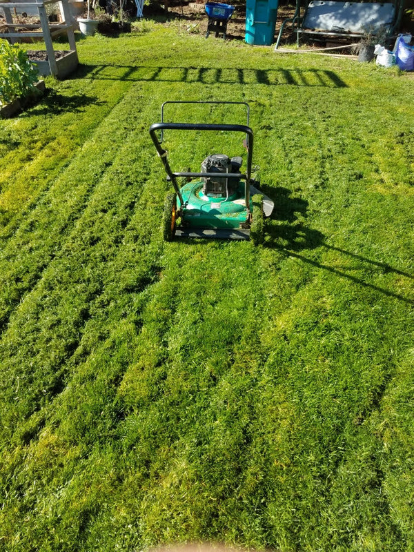 mowing.jpg