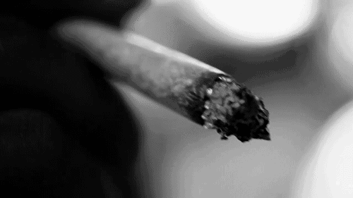 tumblr_mr8cnaDP4X1sb3uqho1_500.gif
