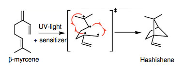 hashishene-formation.jpg